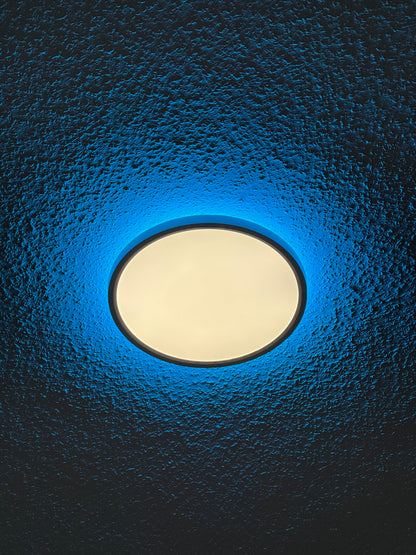 Smart Ceiling Light