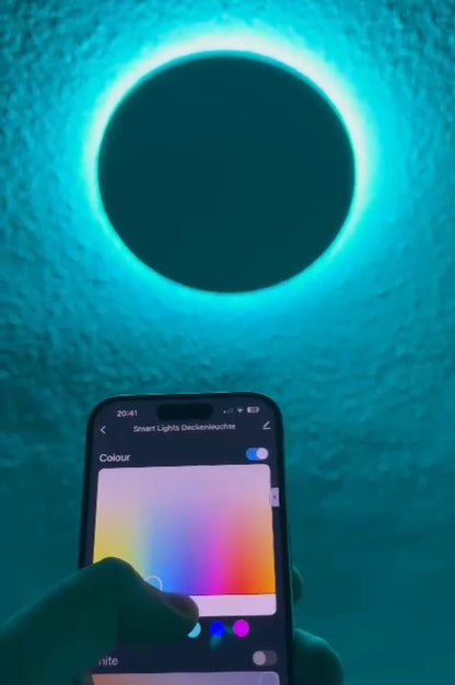 Smart Ceiling Light