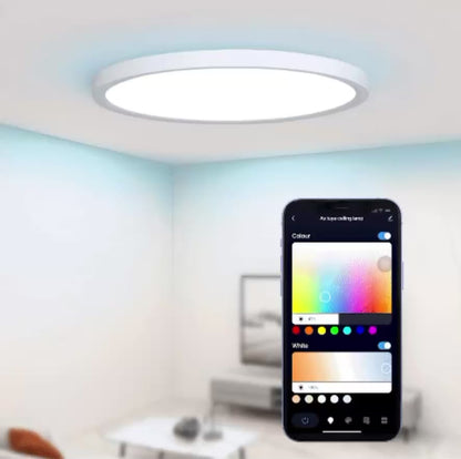 Smart Ceiling Light